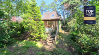 titelbild faz - Einfamilienhaus im Dornröschenschlaf nahe der Fischbeker Heide – Neubau oder Sanierung?