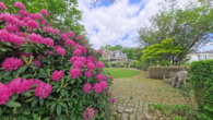 blüten im mai 2 - Wo Träume wohnen
