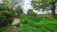 teich terrasse 2 - Wo Träume wohnen