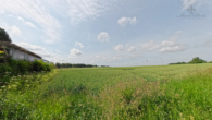 weitblick (2) kopie - Feldrandlage + Weitblick + Doppelhaushälfte in Tötensen